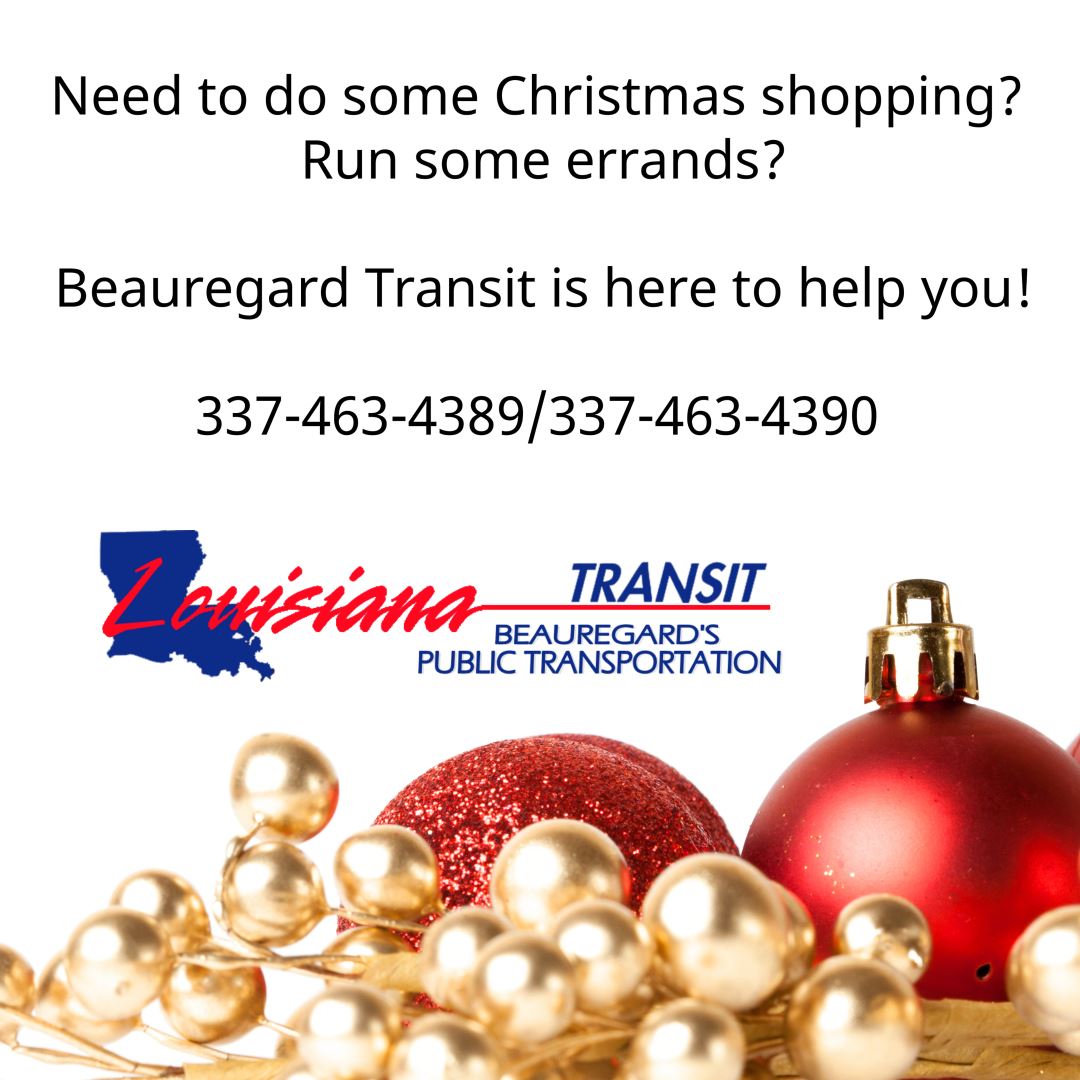 Beauregard Transit Christmas