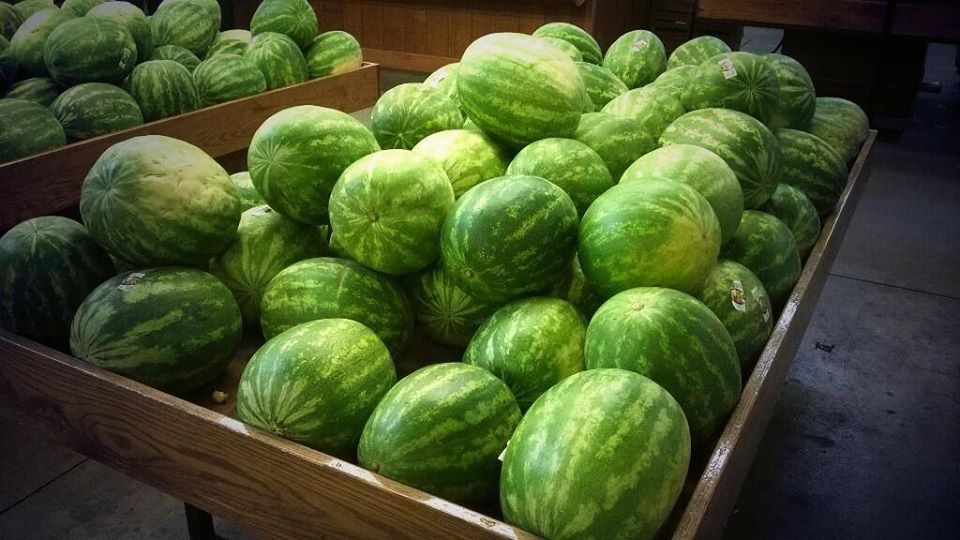 35298065_1873917372675508_6783336141731921920_n